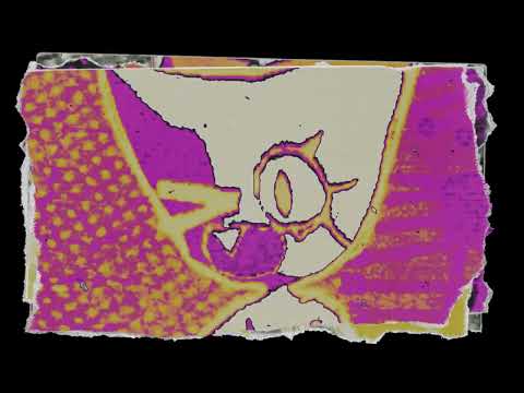 I C4NT BEL1EVE!!! - A Femtanyl Inspired Song