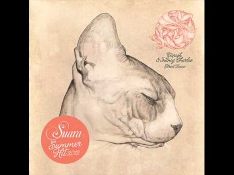 Tapesh & Sidney Charles - Street Love (Original Mix).wmv