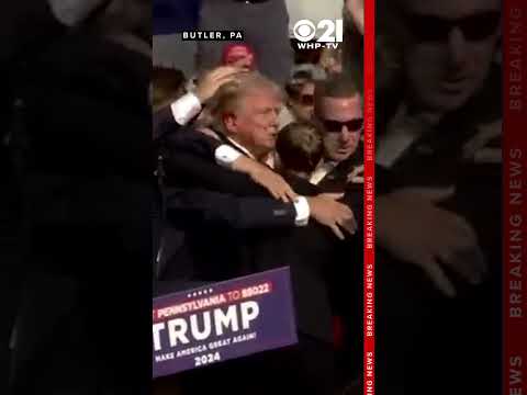 Former Pres. Trump holds bloody face, holds fist in air after possible rally shooting