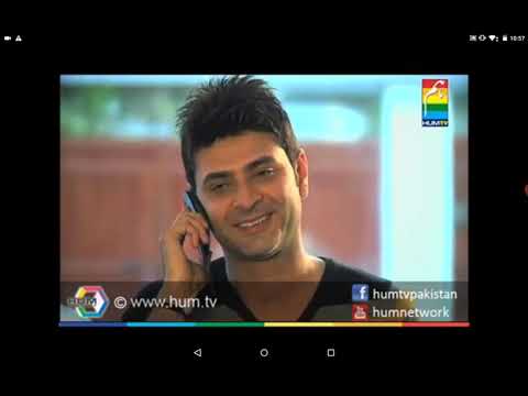 Yahan Pyar Nahin Hai