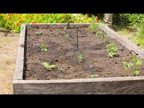 Install Tricklers on Spike in garden bed