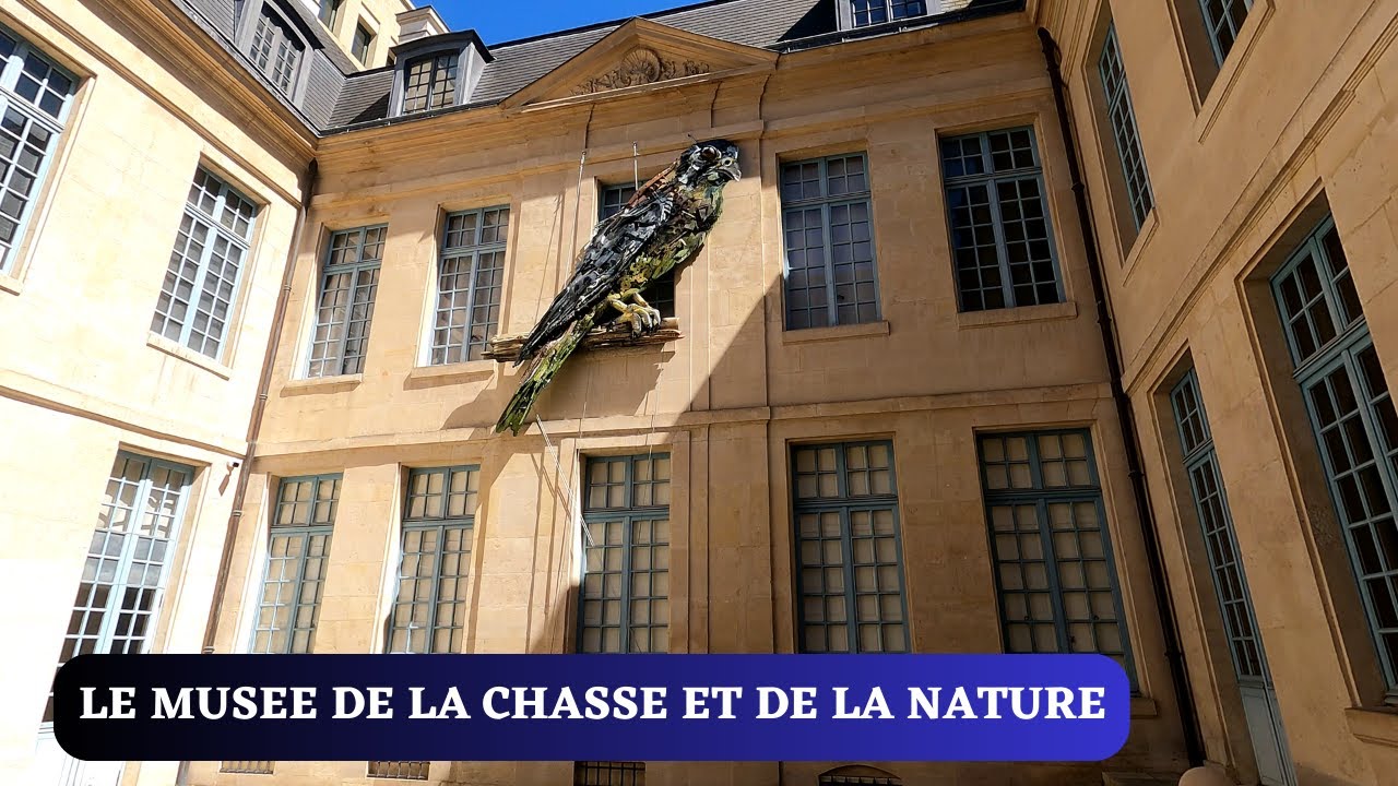 Embark on an immersive virtual journey through the Museum of Hunting and Nature.