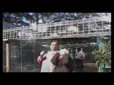 Best funny animals#funnyanimalsvideos 2023😂Cats Fighting and Meowing -Viral Cat