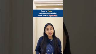 NCERT Important lines-48 | Gymnosperms | Plant Kingdom #shorts #ytshorts #biology #neet #study