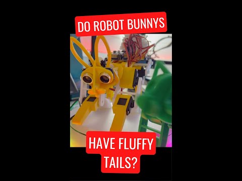 YouTube Thumbnail for Do robot bunny's have fluffy tails? #shorts