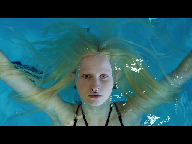 Hot Docs 2021 Trailers: DARK BLOSSOM