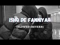 Ishq De Fanniyar Slowed Reverb Rigs