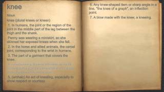 What does knee mean?