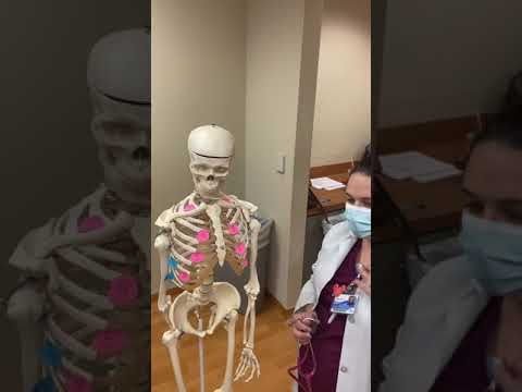 Anterior Lung Sounds