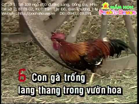 Hoa mào gà - Bé Xuân Mai