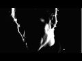 Wayne Jackson Hallelujah (Official music video ...