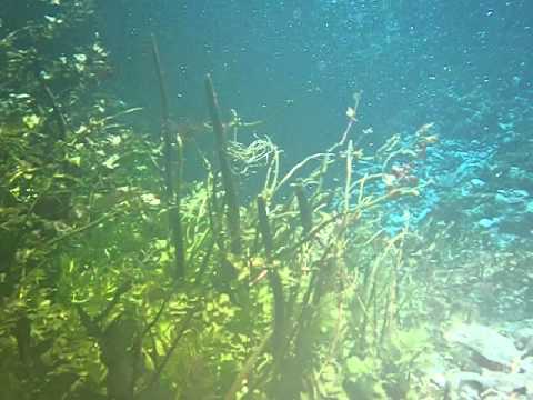 Blue Eye, Syri i Kalter (Großquelle,Inland),Albanien