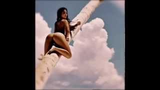 Madlib - Lifted Mindz - BesoReal - "Flowers (I Like That)