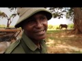 Reuniting with 26 year old Ndume | Sheldrick Trust