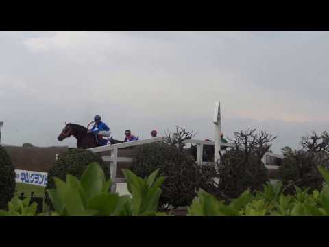 競馬 J・G1 2017年 第19回 中山グランドジャンプ 大竹柵障害　飛越 馬場内視点 現地撮影