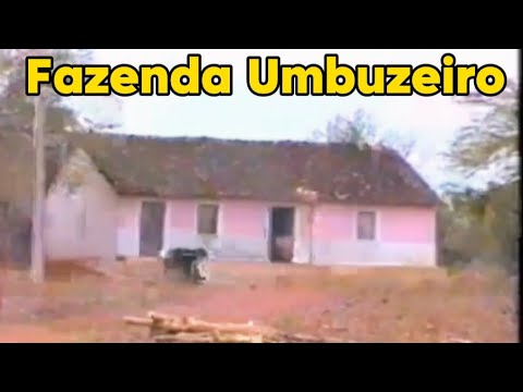 Memórias da Fazenda Umbuzeiro