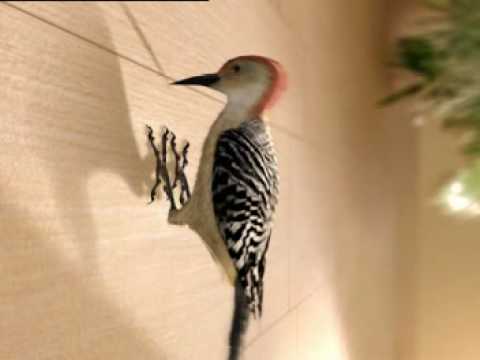 Italgraniti - Picchio ricostruito in 3D