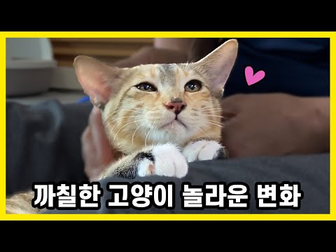 아이콘