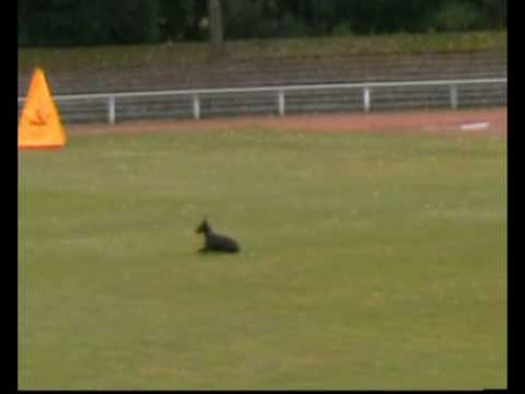 HC Naunhof Best of 2008 Teil 3.wmv