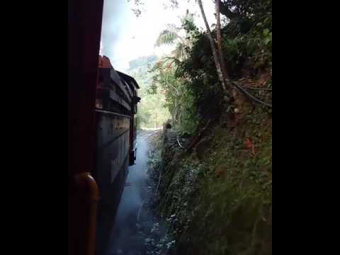 Trem de Apiúna passando no Viaduto.