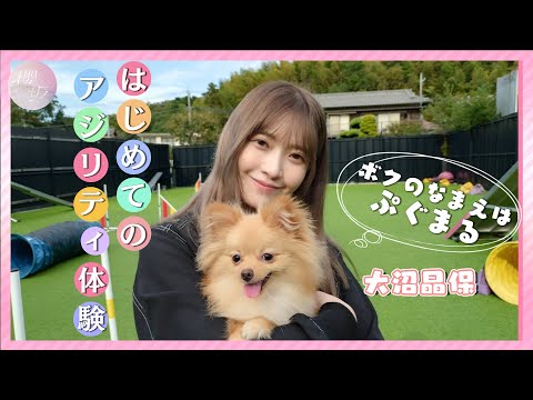 【試される絆】大沼&ぷぐまるがアジリティに初挑戦！頑張りました！