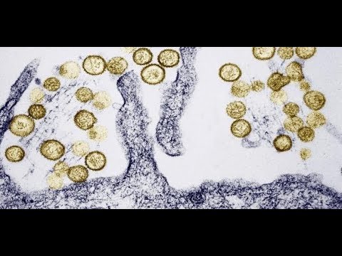 Blutdruck und Akupunktur Enzephalopathie auf dem Hintergrund der zerebralen Arteriosklerose und Bluthochdruck