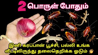 கரப்பான் பூச்சி, பல்லி வீட்டு பக்கம் வராமல் இருக்க சூப்பரான டிப்ஸ்|Get rid of cockroach Tamil #tips