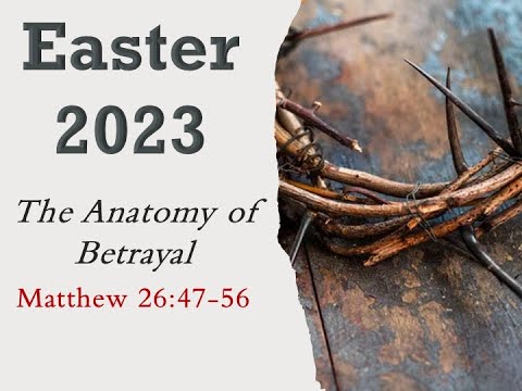 The Anatomy of Betrayal   SD 480p