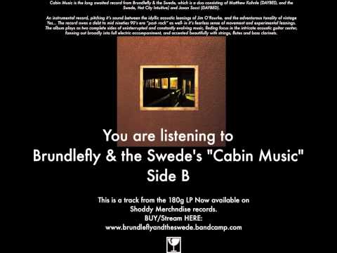 Brundlefly and the Swede Cabin Music Side B