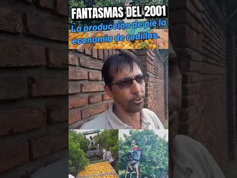 FANTASMAS DEL 2001 LA PRODUCCIÓN DE PIE, LA ECONOMÍA DE RODILLAS.​ #concordia #entrerios