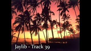 Jaylib - Track 39 (Extended)