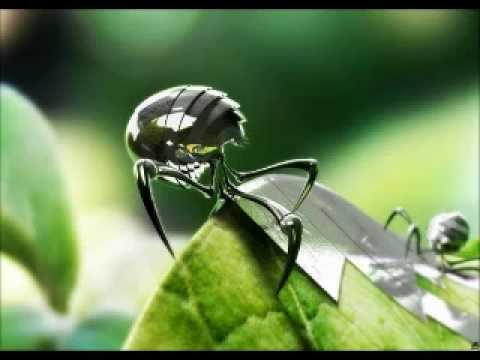 TALAMASCA AND YUMAN-ze masterplan