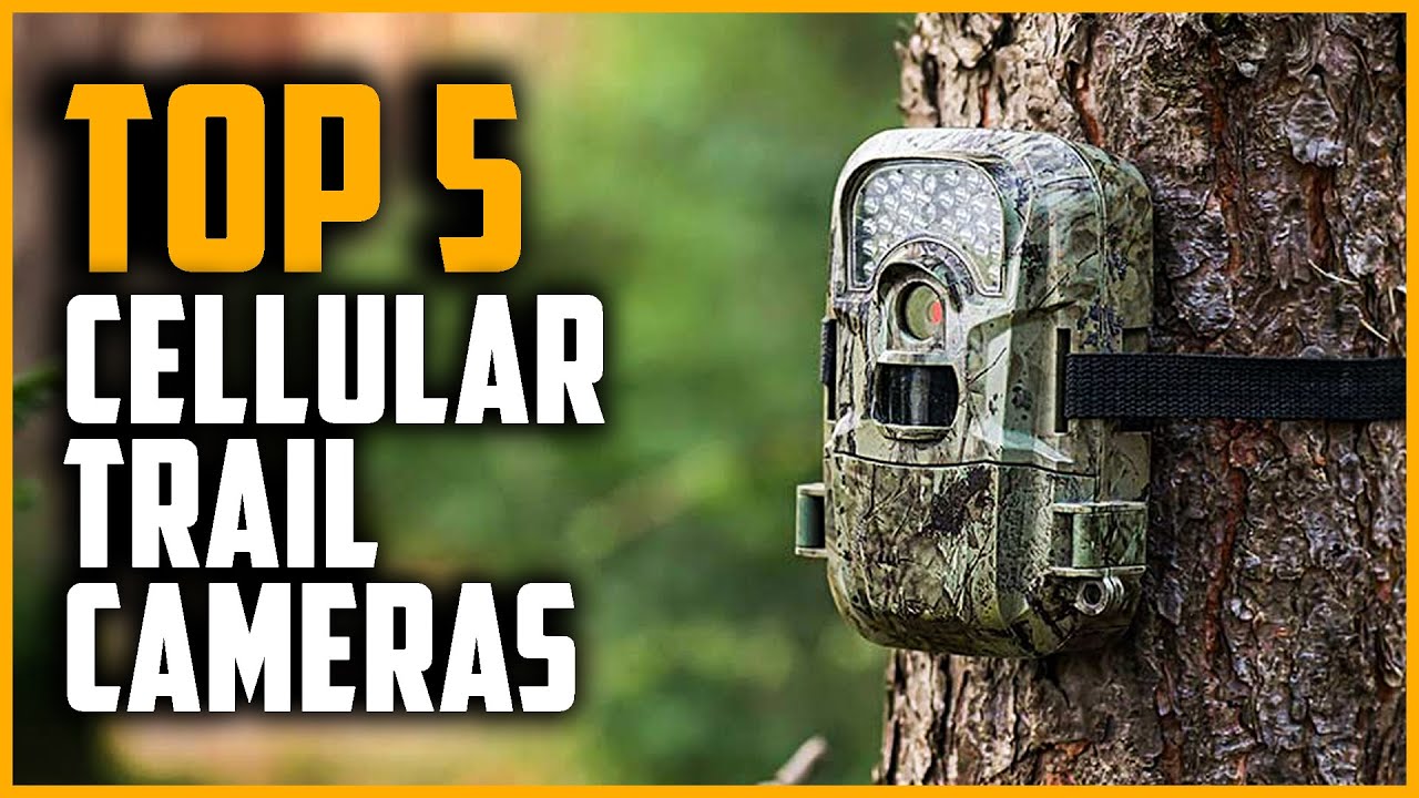 Best Cellular Trail Cameras 2024 | Top 5 Best Cellular Trail Camera Reviews