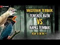 MASTERAN TERBAIK TENGKEK BUTO SAMBUNG KAPAS TEMBAK JEDA 15 DETIK