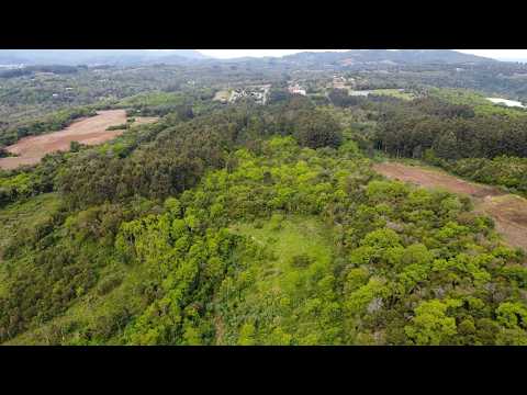 ÁREA DE TERRAS, 99875M² ÁREA TOTAL para venda EM COLINA VERDE