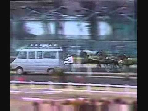 Prix d'Amerique 1982 -Hymour