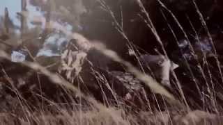 The Paceshifters - Running video