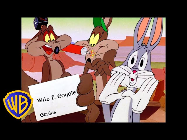 Vídeo relacionado con Looney Tunes Wile E. Coyote Busted Camiseta de manga corta para hombre - S