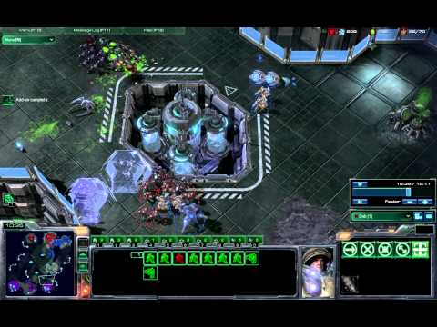 SC2 Intense Micro Management Dub & Shawmeck