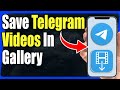 How To Download Video From Telegram Full Guide
