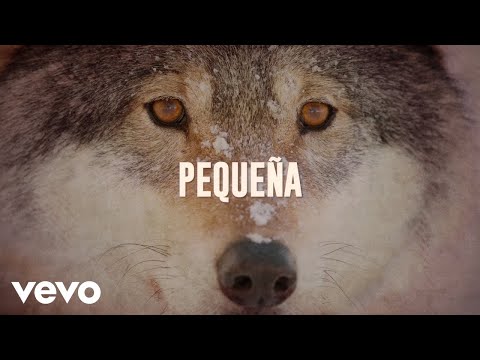 Los Temerarios - Pequeña (LETRA)