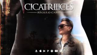 &quot;CICATRIIICES&quot; Regulo Caro (Audio)