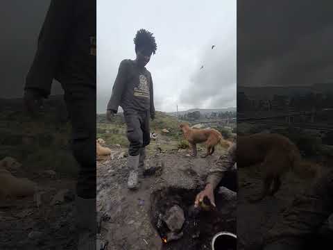 #happiness #lifestile #lifehacks #smartlifestyle #funnyvideo