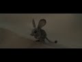 Muad’Dib (mouse) on Arrakis