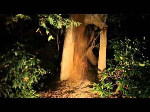 All Alone in an Empty House - Lost in the Trees