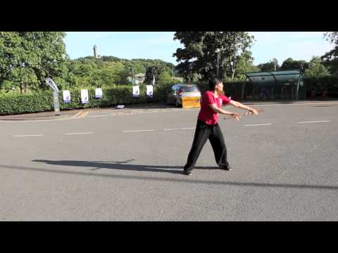 Tai Chi Qigong Stick Form by Faye Yip