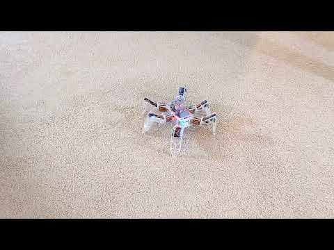 Hexapod