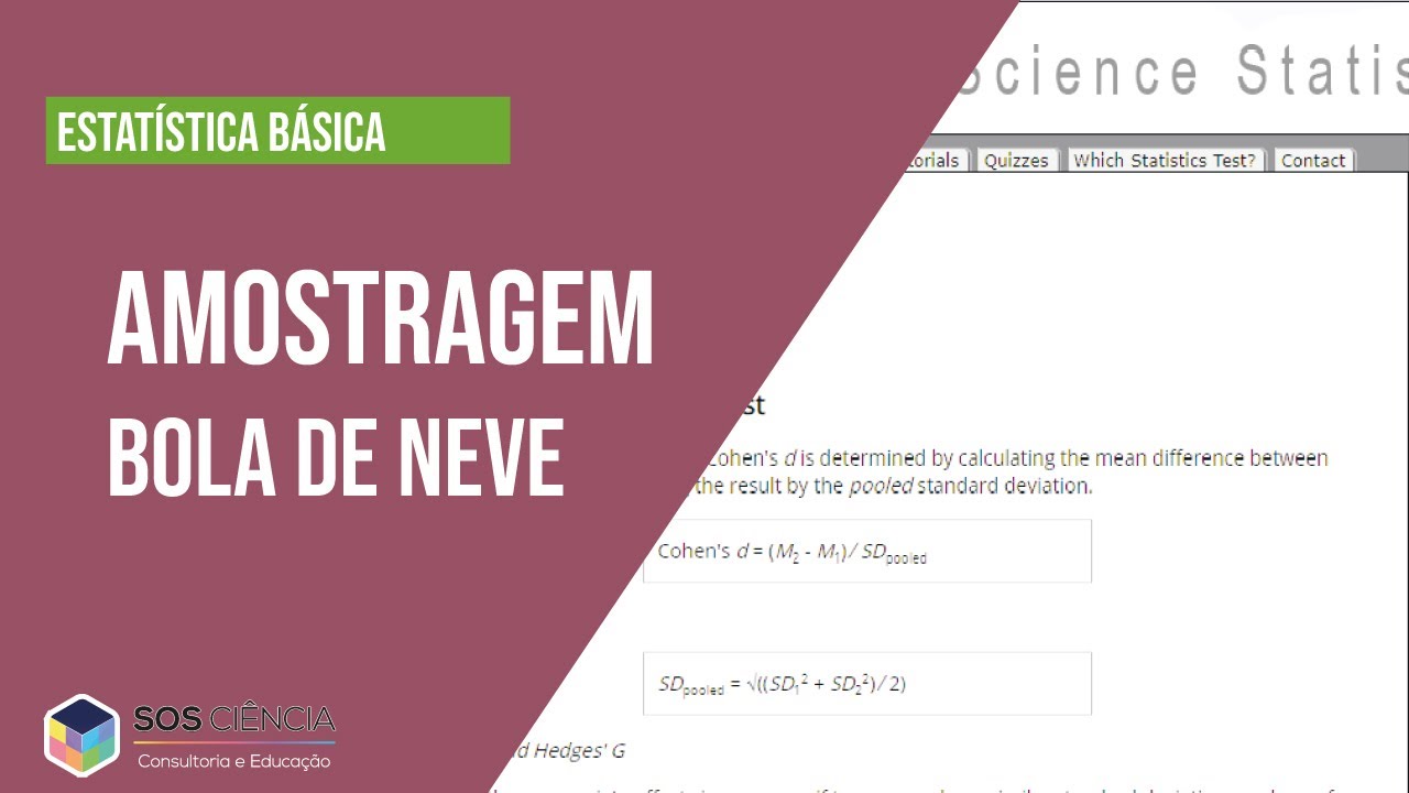 Estatística Básica| O que é amostragem por BOLA DE NEVE e como realizar?