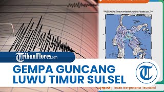 Gempa Magnitudo 4,8 SR Guncang Luwu Timur pada Jumat Dini Hari, Tidak Berpotensi Tsunami