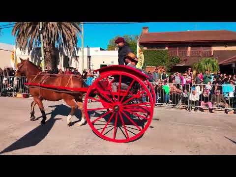 18° Fiesta Provincial del Carruaje  en Brandsen: ¡Un desfile inolvidable!